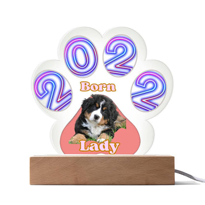 Personalized  Multi-color LED Base Acrylic Paw Plaque