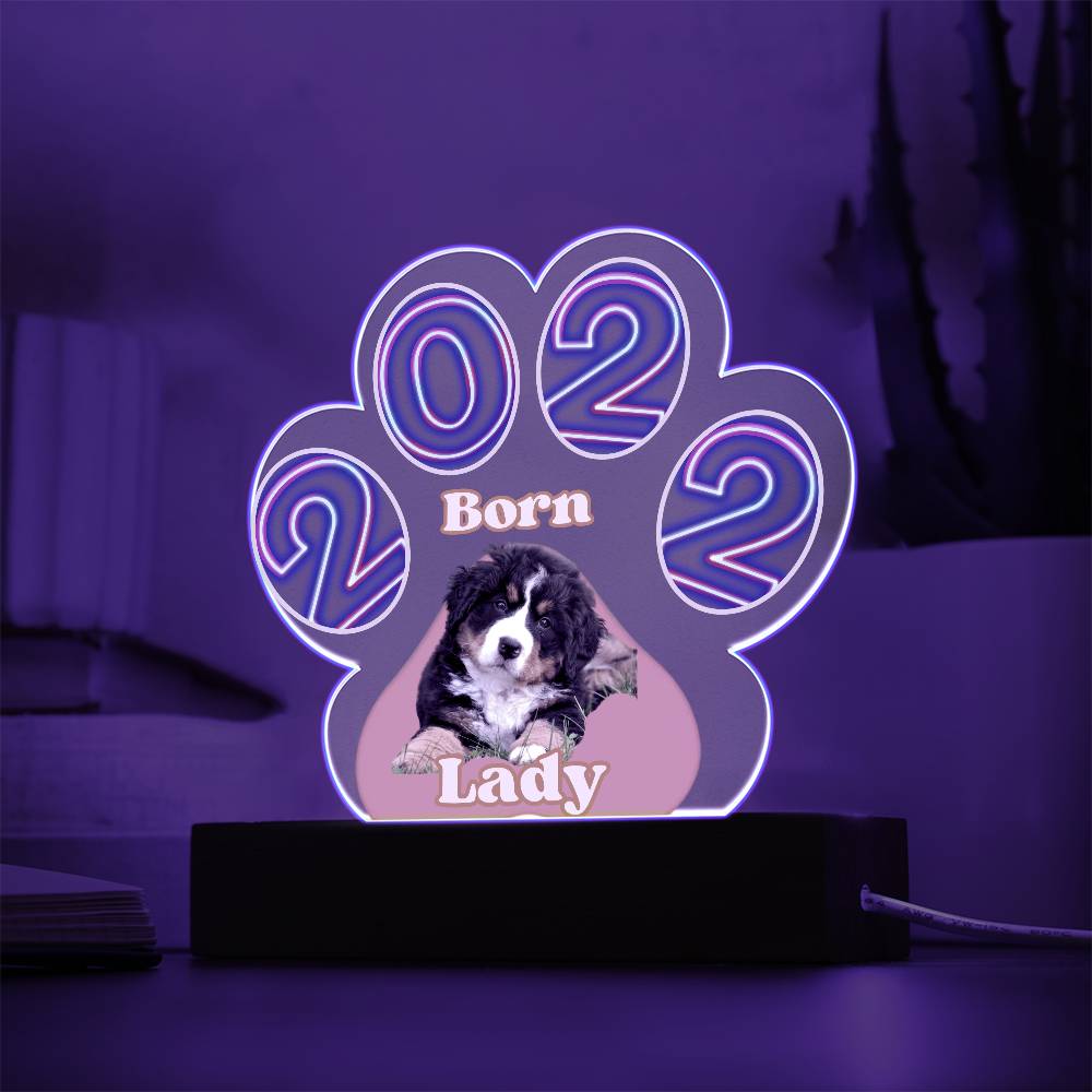 Personalized  Multi-color LED Base Acrylic Paw Plaque