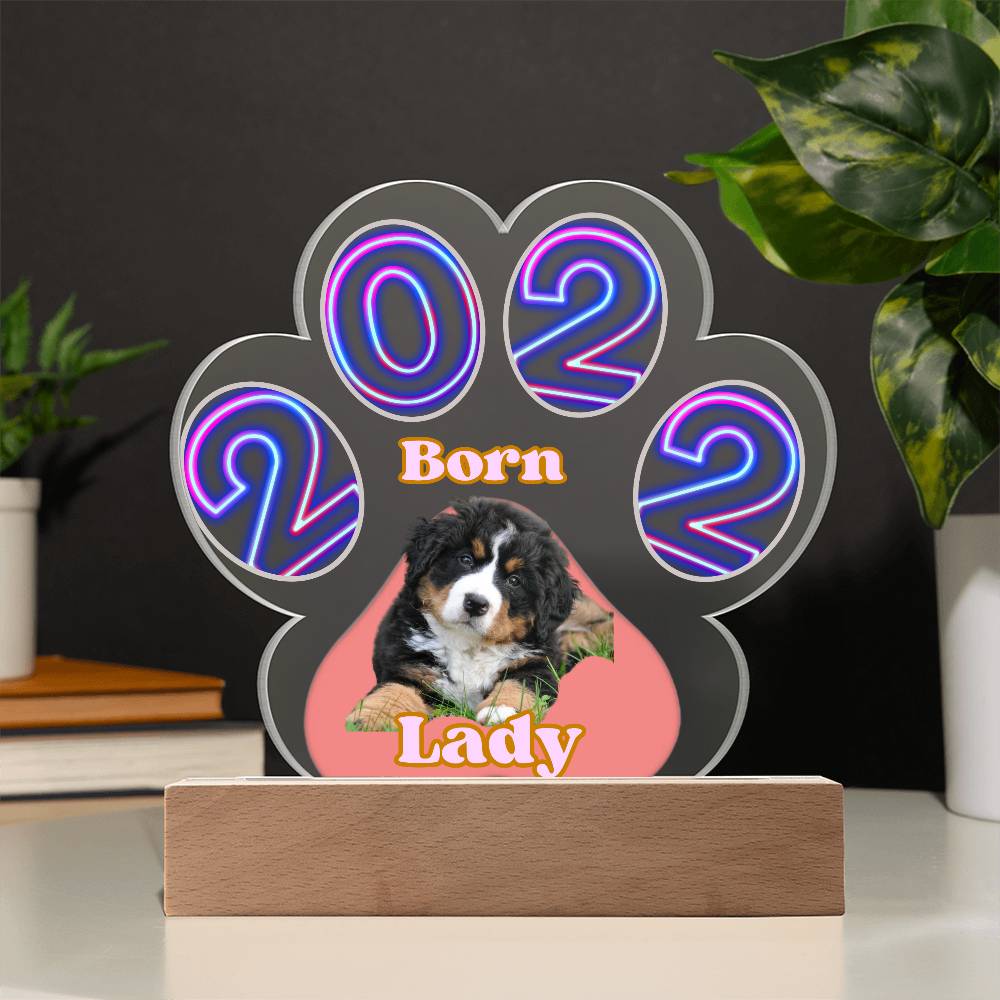 Personalized  Multi-color LED Base Acrylic Paw Plaque