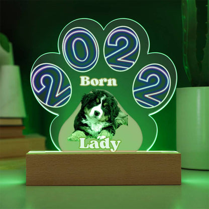 Personalized  Multi-color LED Base Acrylic Paw Plaque