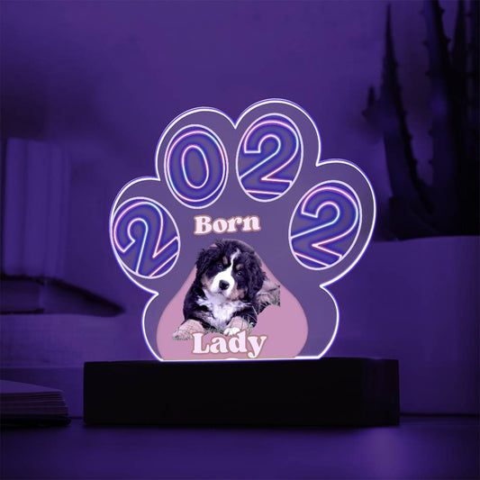 Personalized  Multi-color LED Base Acrylic Paw Plaque